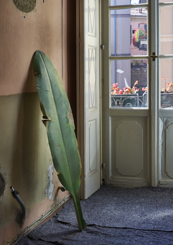 Gianandrea Poletta, empatia ½, 2016