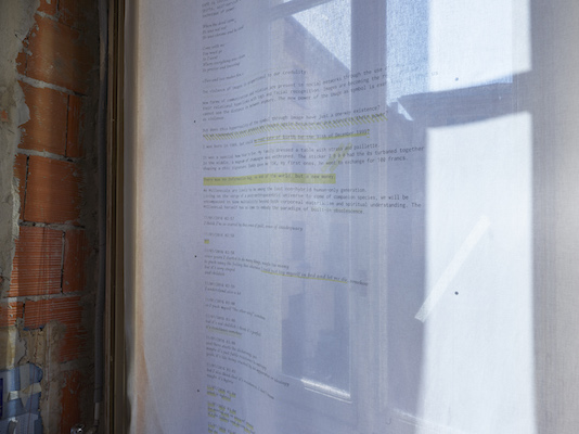 Enrico Boccioletti & Marion Goix, DID I BORN THE 31 DEC 1999?, 2016